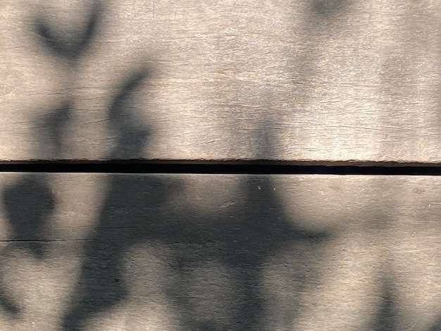 A wooden bench with the shadow of the leaves on it