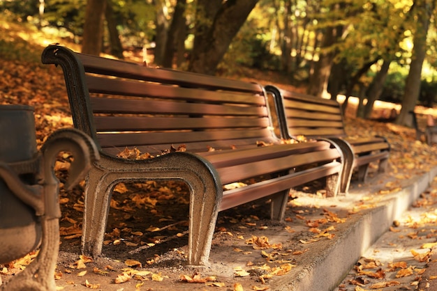 Wooden benches and fallen leaves in beautiful park on autumn day Space for text