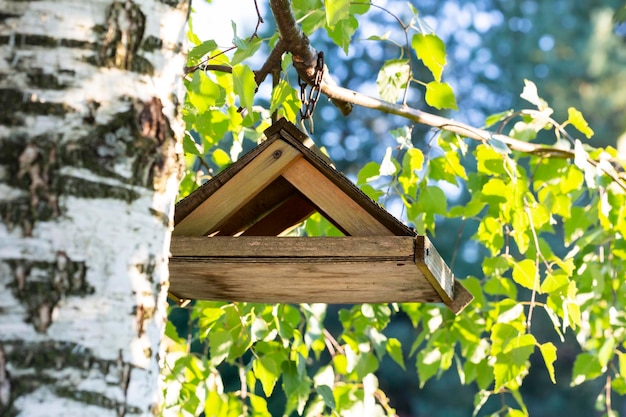 Wooden bird feeder hanging on the branches of a green tree in the park