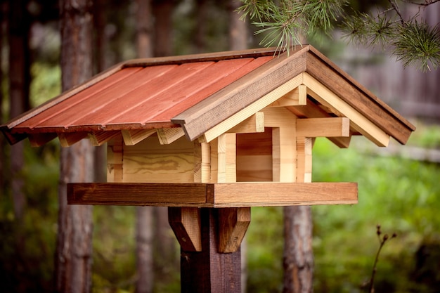 Wooden bird feeder in a pine forest in summer Caring for the environment Ecology