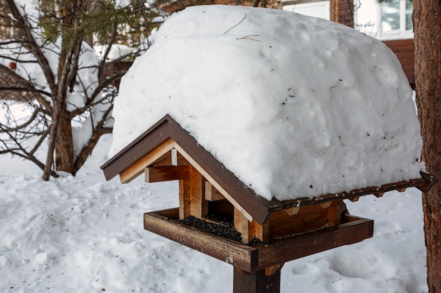 Wooden bird feeder in the winter forest. Caring for the environment.