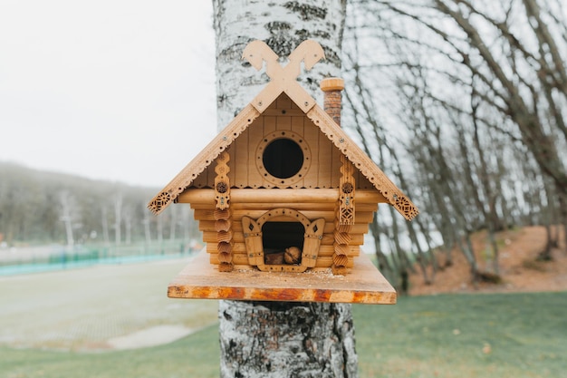 Wooden birdhouse birdhouse on a tree. Take care of the animals. Crafts with children.