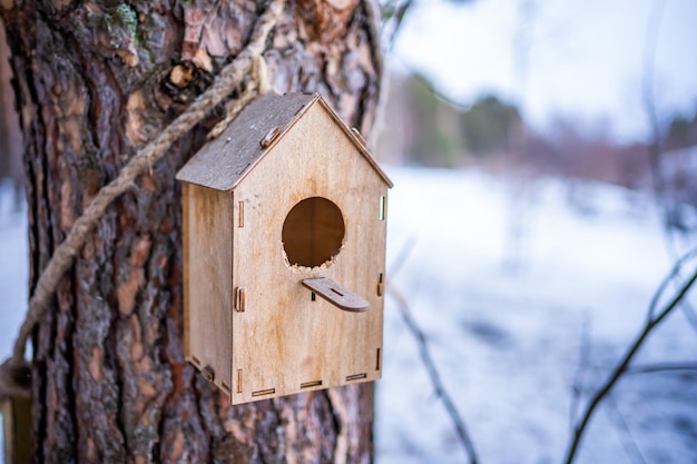 Wooden birdhouse on pine tree in the winter forest in siberia russia