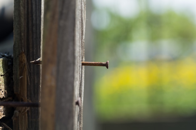 wooden Board with a rusty nail