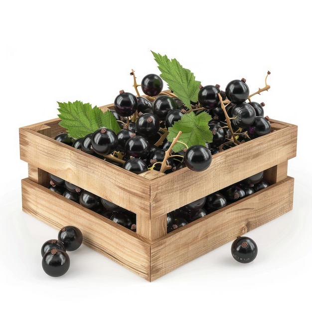 Photo a wooden box with blackberries and leaves on it