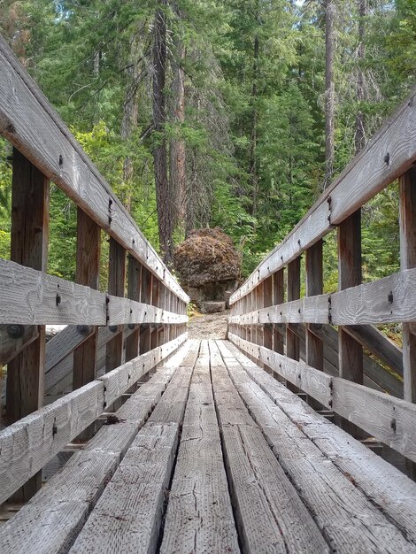 Photo wooden bridge against trees in forest