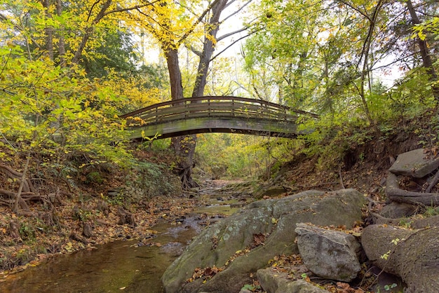 Wooden bridge over a lake in a forest during the day in autumn