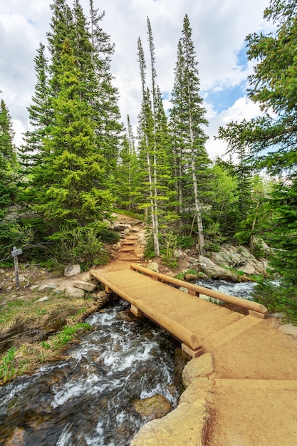 Wooden bridge through the mountain river