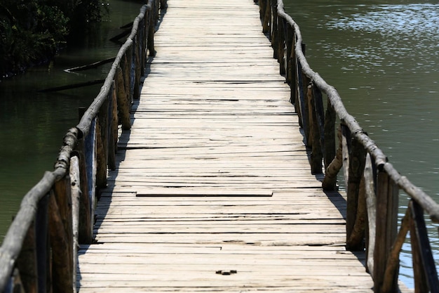 Wooden bridge on water