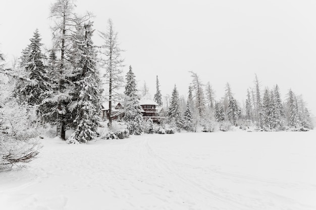 Wooden building in cold winter forest