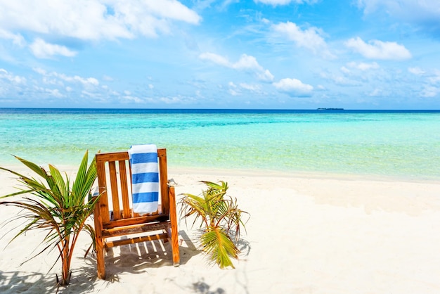 A wooden chair standing on the coast Indian Ocean