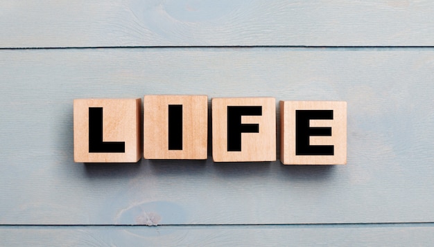 Photo wooden cubes with the text life on a light blue wooden wall.