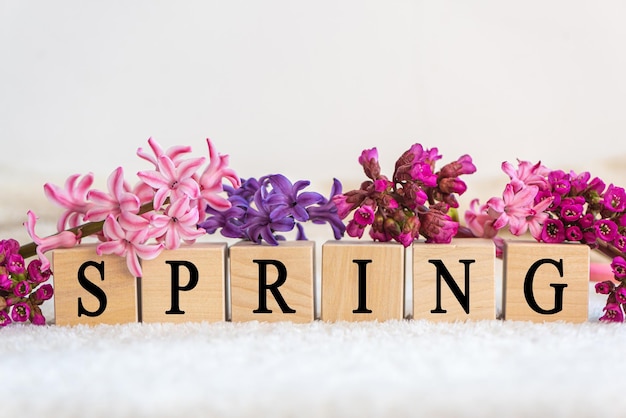 Wooden cubes with word spring and fresh flowers on white background