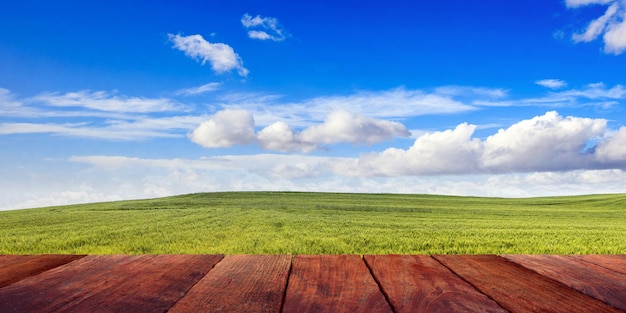 Wooden deck on blue sky and green field background copy space 3d illustration