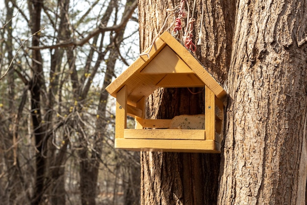 Wooden feeder in the form of a house hanging on a tree trunk Feeding hungry birds Birdwatching Caring for birds in the wild