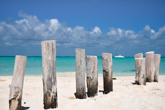 wooden fence on the beach