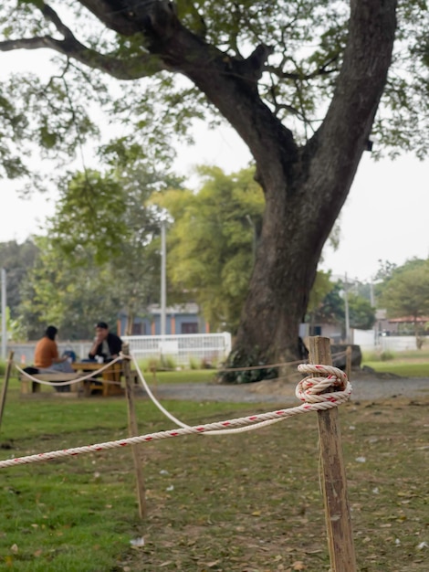 Wooden fence covered with ropes on green garden