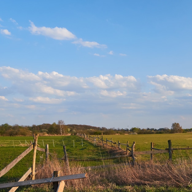 Wooden fence on a green field