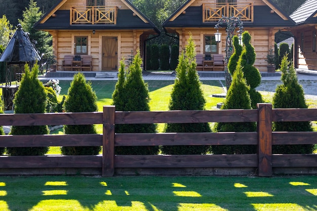 Wooden fence made of planks and arborvitae planted nearby