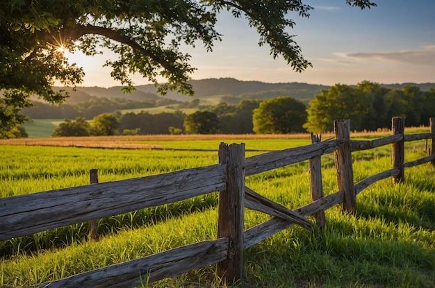 a wooden fence with a fence that has a tree on it