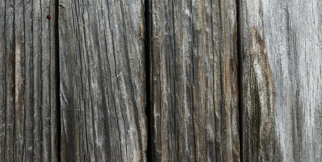 A wooden fence