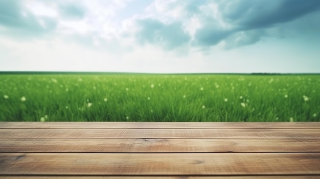 Wooden floor with meadow background against blue sky natural ecofriendly design