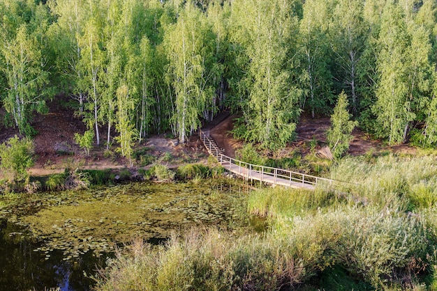 Wooden footbridge over a forest river. Bolshaya Karaganka river near Arkaim village, Russia