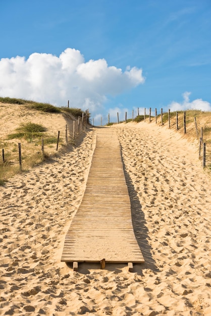 Photo wooden footpath through dunes at the ocean beach in western france. selective focus