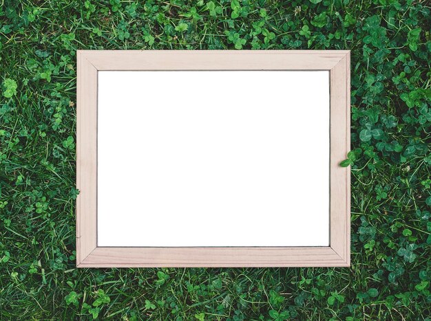 Photo wooden frame on green grass top view copy space