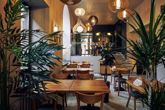 Wooden furniture and potplants by wall with picture in cafe