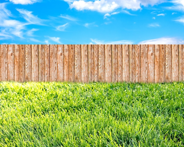 Wooden garden fence at backyard green grass and blue sky with white clouds