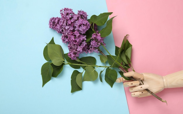 Wooden hand holding Branch of blooming purple lilacs on bluepink pastel background Spring background Minimalism