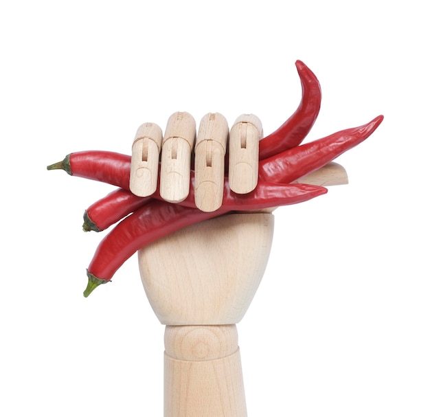 A wooden hand holds the pods of hot red pepper Minimal concept of food seasoning design