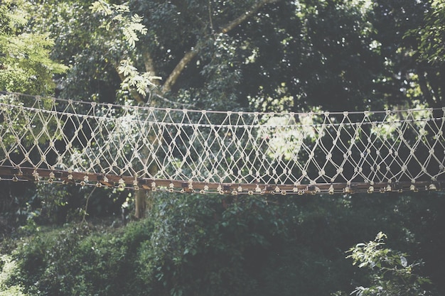 Wooden hanging suspended rope bridge in garden park