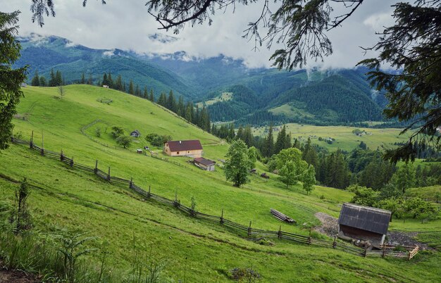 A wooden house on a green meadow in mountains A house near old forest