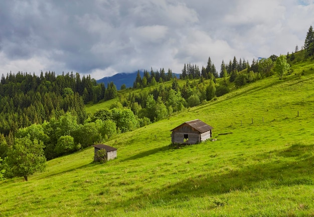 A wooden house on a green meadow in mountains A house near old forest