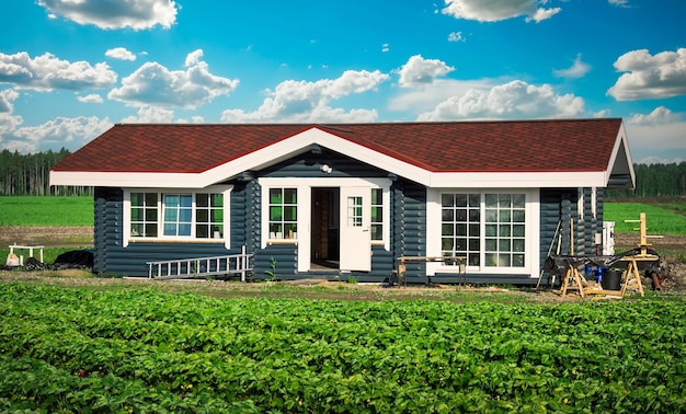 Wooden house and grown strawberries on a blue cloudy sky Growing berries in the countryside