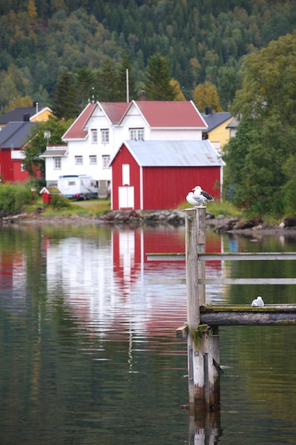 Wooden house at the Lofoten archipelago