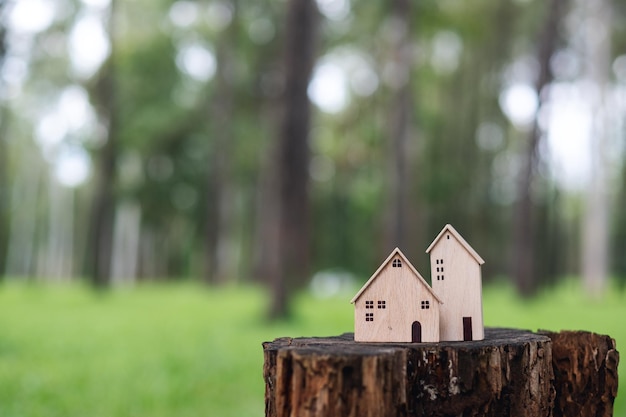 Wooden house models on tree stump in the outdoors