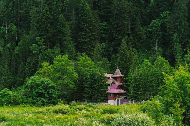 Wooden house in the mountains in the sun lights. Ukrainian mountains