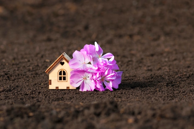 Wooden house with large pink flowers on the ground