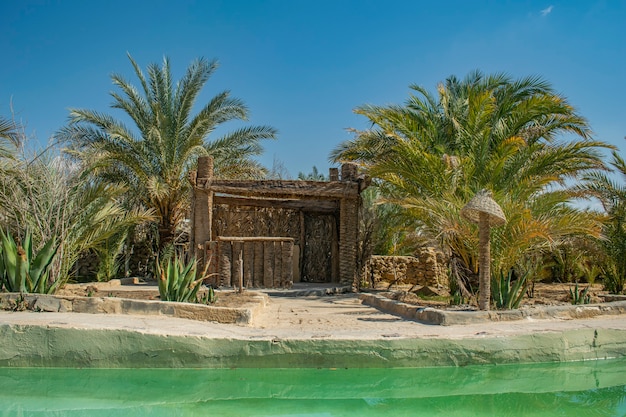 Wooden hut with Palm Trees outside