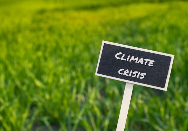 Wooden information label sign with text CLIMATE CRISIS against defocused agriculture field message