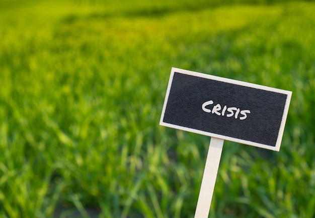 Wooden information label sign with text CRISIS against defocused agriculture field message Global