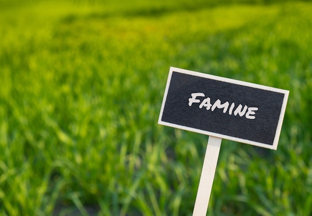 Wooden information label sign with text FAMINE against defocused agriculture field message Global