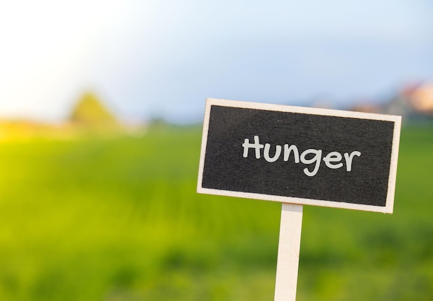 Wooden information label sign with text HUNGER against defocused agriculture field message