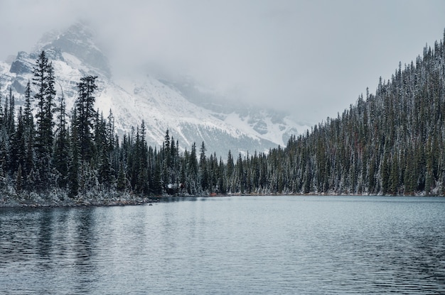 Wooden lodge in pine forest with heavy snow and mountain on Lake