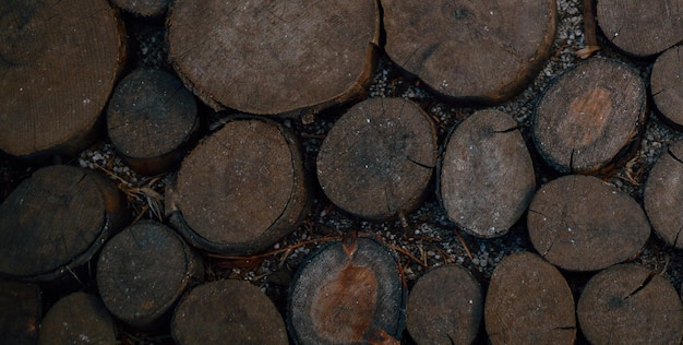 A wooden log with a black tip