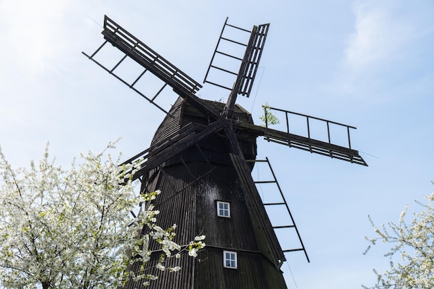 Wooden Mill on blue sky background Old Windmill at dawn Windmill farm Rural landscape village on the hill in Trzew Poland