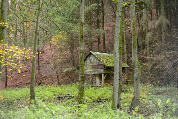 Photo wooden old house in the woods in autumn scenery shelter in the woods